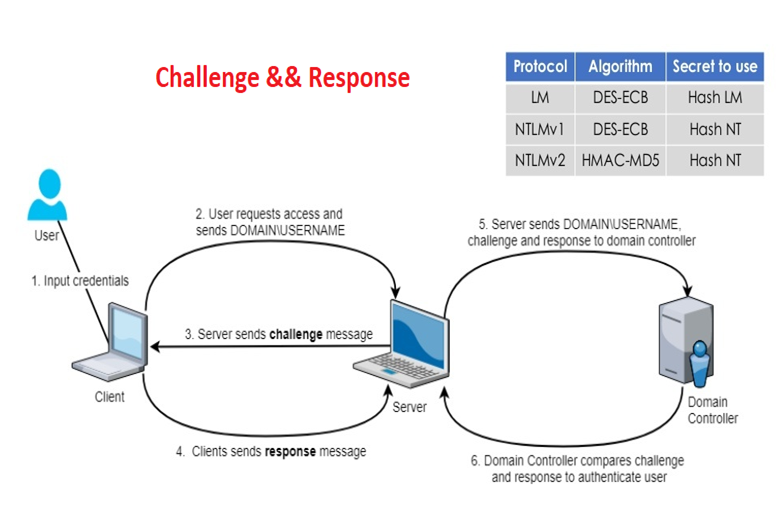 image-20210502182943400